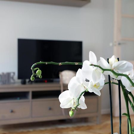 Apartament Turkus Щецин Екстер'єр фото